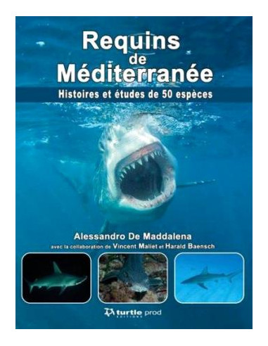 Requins de Méditerranée