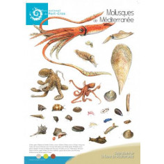 Poster Mollusques de...