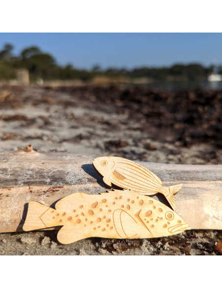 Magnets • Mérou & saupe