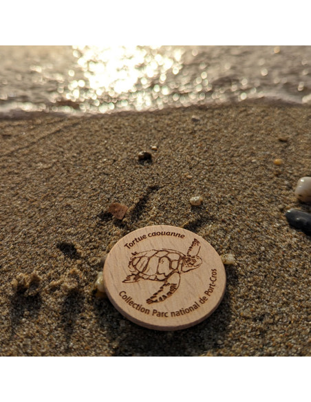 Magnets • Tortue Caouanne