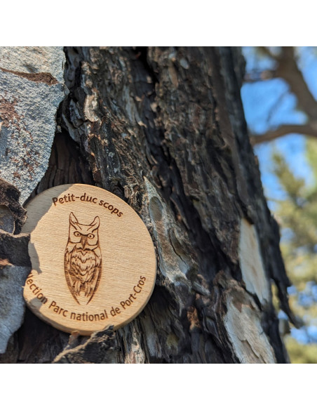 Magnet • Hibou Petit-duc Scops