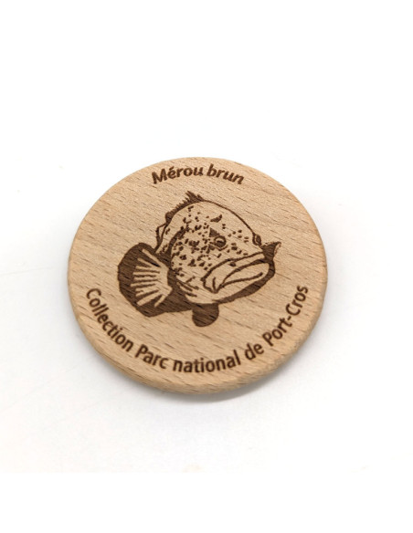 Magnet • Mérou brun