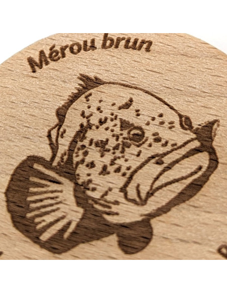 Magnet • Mérou brun