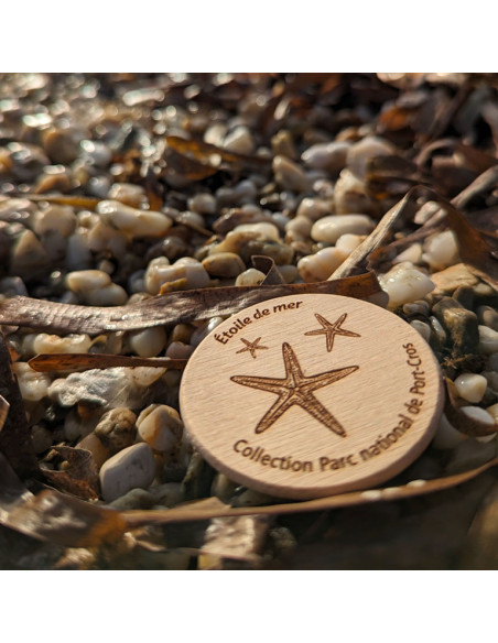 Magnet • Etoile de mer