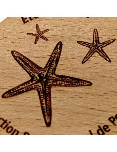 Magnet • Etoile de mer