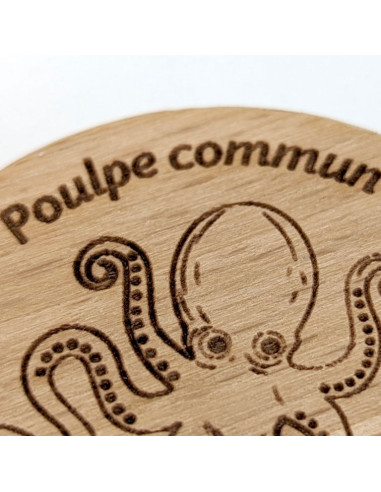 Magnet • Poulpe commun