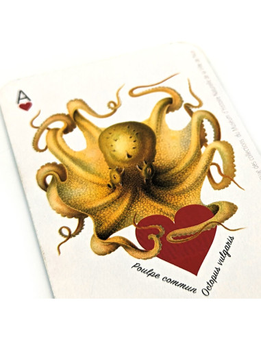 Jeux de 32 cartes • Gravures anciennes