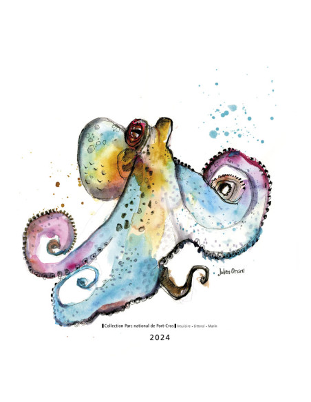 T-Shirt Poulpe • Collaboration avec Julien Orsini