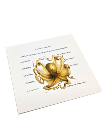 Petites cartes postales gravure ancienne