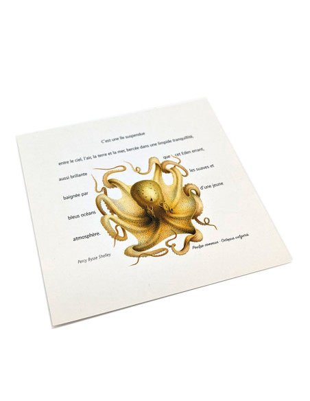 Petites cartes postales gravure ancienne