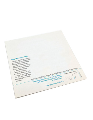 Petites cartes postales gravure ancienne