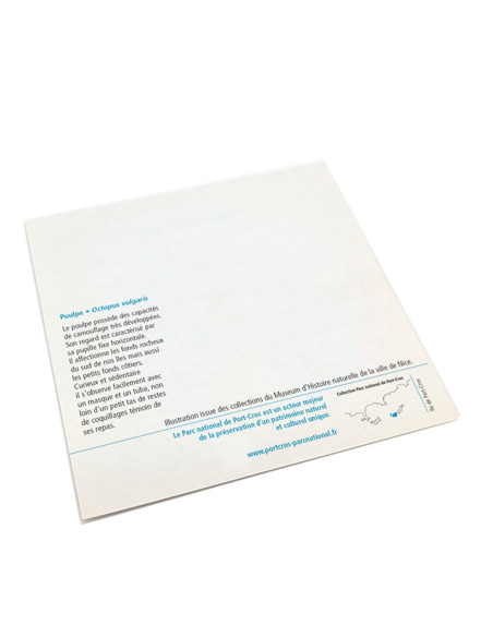 Petites cartes postales gravure ancienne