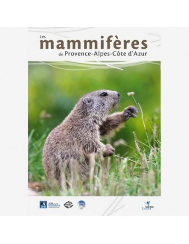 Les mammifères de Provence-Alpes-Côte-d'Azur