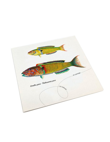 Grandes cartes postales gravures anciennes