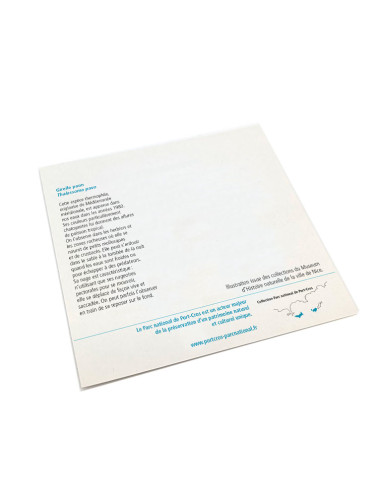 Grandes cartes postales gravures anciennes