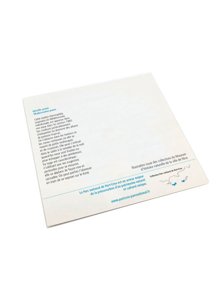 Grandes cartes postales gravures anciennes