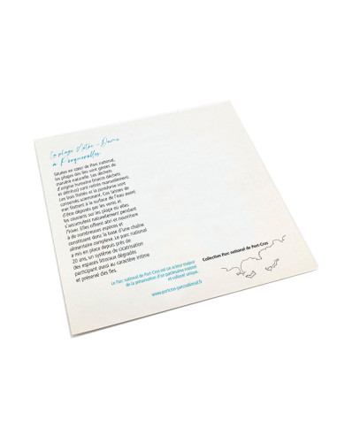 Grande carte postale plage Notre-Dame à...