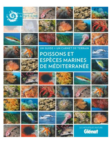 Poissons et espèces marines de Méditerranée – Les Mosaïques nature